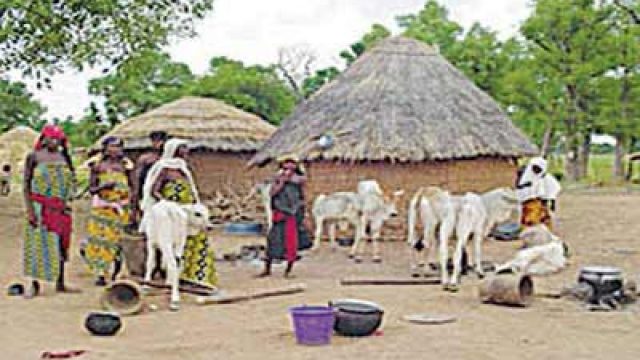 IFAD Spends N5 4Bn To Lift Livelihood Of Rural People Features The 