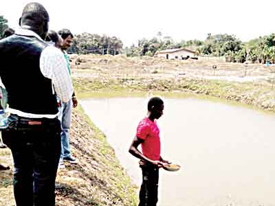 Premium-Aquaculture-