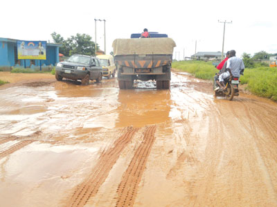 Ayobo