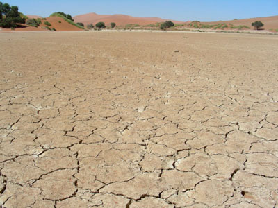 Desert-09-03-2015