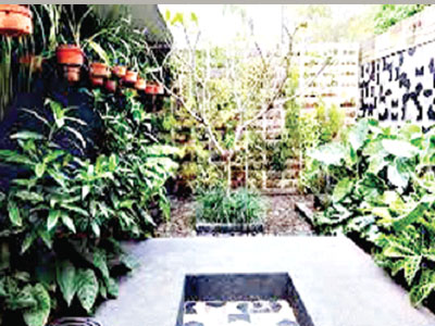 Courtyard design with pool and vertical ornamental garden