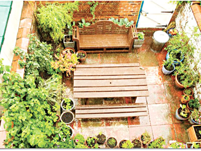 Patio vegetable garden