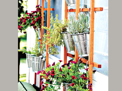 Vertical garden trellis hanging container
