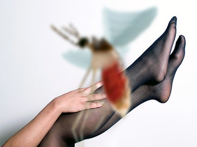 mosquito-treehugger