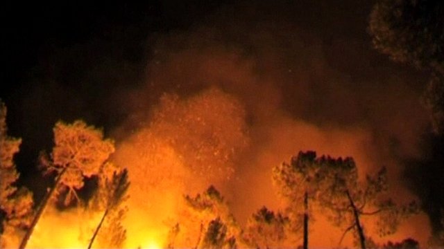 wildfire