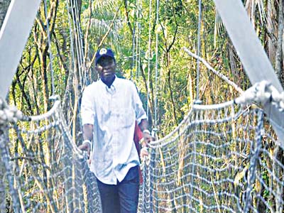 Fashola CANOPY