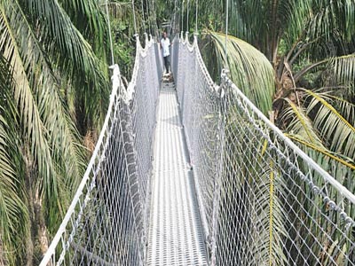 Walk Canopy