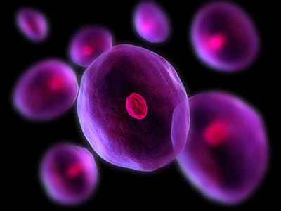stem-cell
