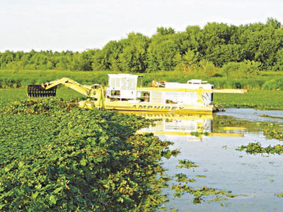 Amphibex At Work