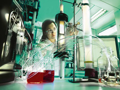 chocolate chip oatmeal cookies