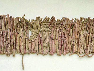 Jute, cotton and dye