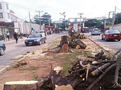 MAGODO-29-06-2015-Copy