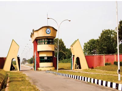ilaro-poly