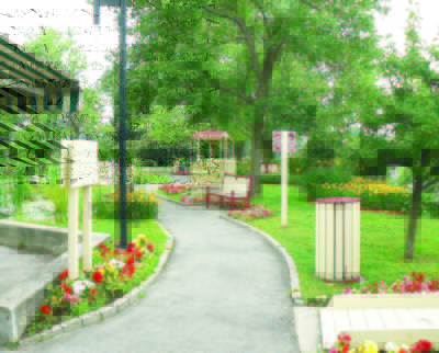 3. Healing garden, all the paths are paved making the entire garden wheelchair accessible Copy