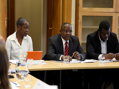 Africa Progress Panel