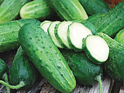Cucumber-2—Copy
