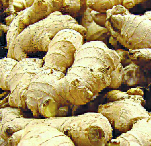 Ginger 