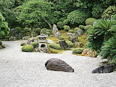 Habit-Copy
