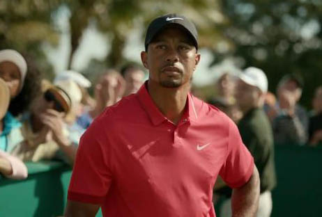Woods