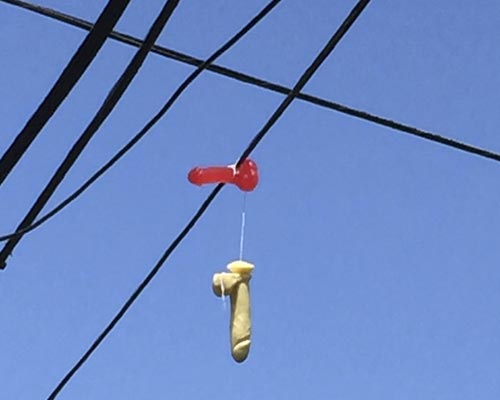 Two adult toys hang over power lines above a residential street in Portland, Oregon. Photo: japantimes