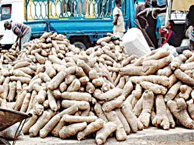 Benue-Yams-2-Copy