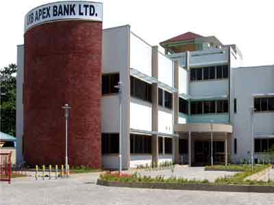 _apex-bank