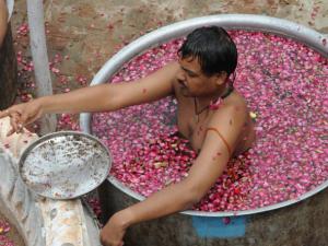 AFP. An Indian Hindu Brahmin, sitting inside huge pots filled with water and flower petals, perform a Parjanya Yagna prayer ritual to appease the rain gods .
