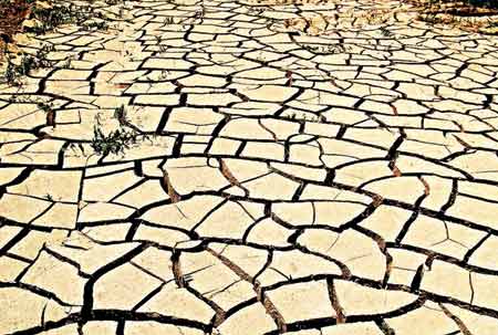 Desert-07-09-2015-Copy
