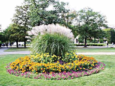 Island-Flower-Bed-Copy