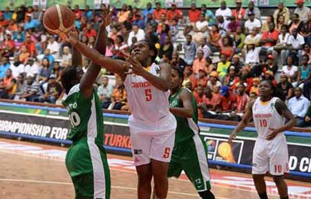 Tigress-FIBA