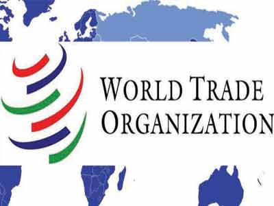 WTO---Copy