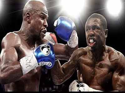 mayweather