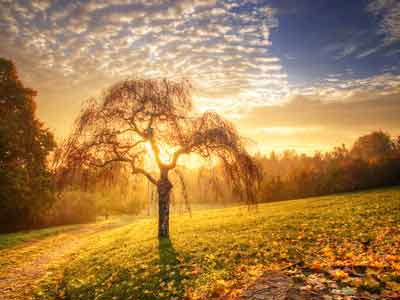rebirth-zsolt-zsigmond
