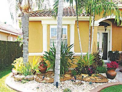 Front-house-landscaping-using-different-colored-rocks-and-plant-plus-pink-flowers-with-concrete-curbing-border-and-king-alexanders-skinny-palms.-Copy