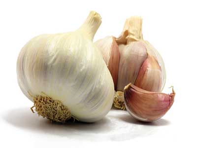 Garlic