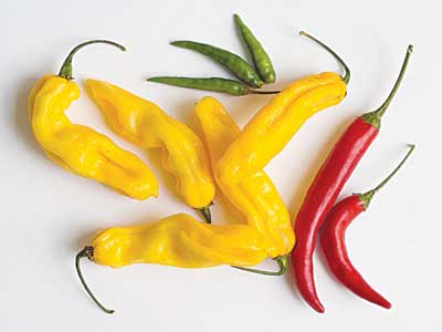 Pepper