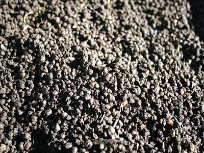 Worm casting is richer in nutrients than surrounding soils.