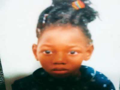 Brain