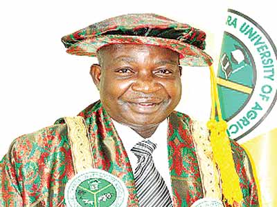 Edeoga,12-11-15