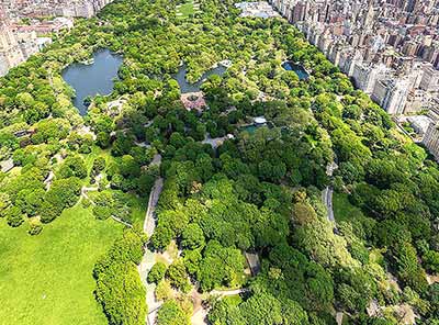 New-York-central-Park