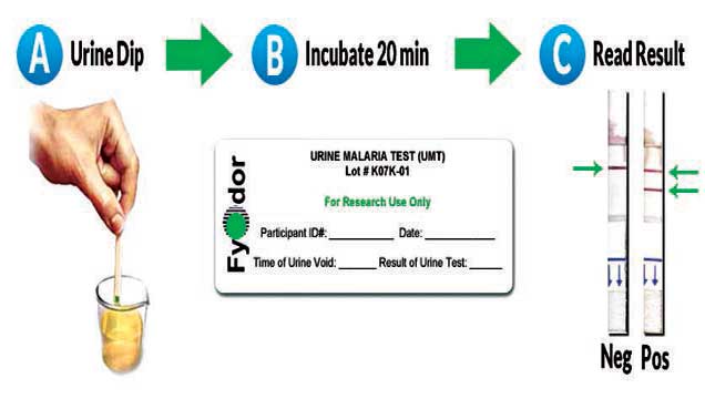 UMT-Copy
