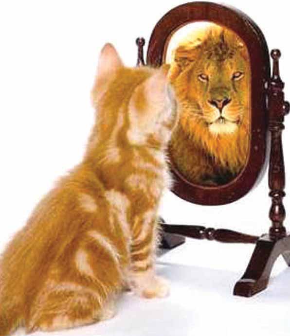 self-esteem