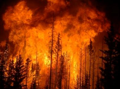 australia wildfire