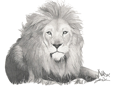 lion-copy