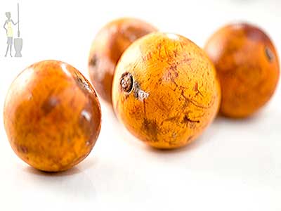 African-star-apple