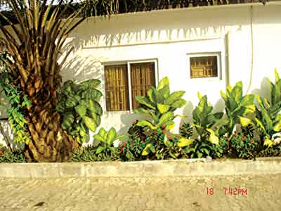Create-micro-climate-with-to-increase-shade-for-understorey-plants,-group-plants-with-same-water-needs.