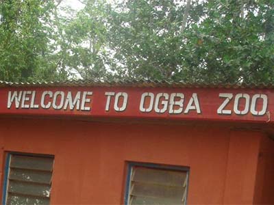 Ogba-Zoo