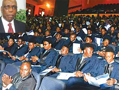 Undergraduates