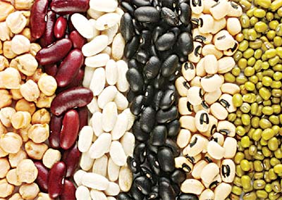 beans
