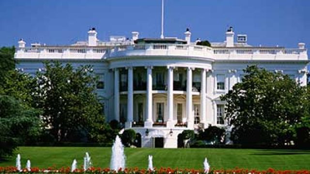 white-house